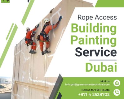 Rope-Access-Painting-Service