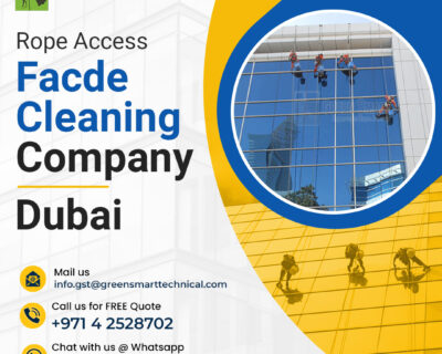 Facade-cleaning-service-