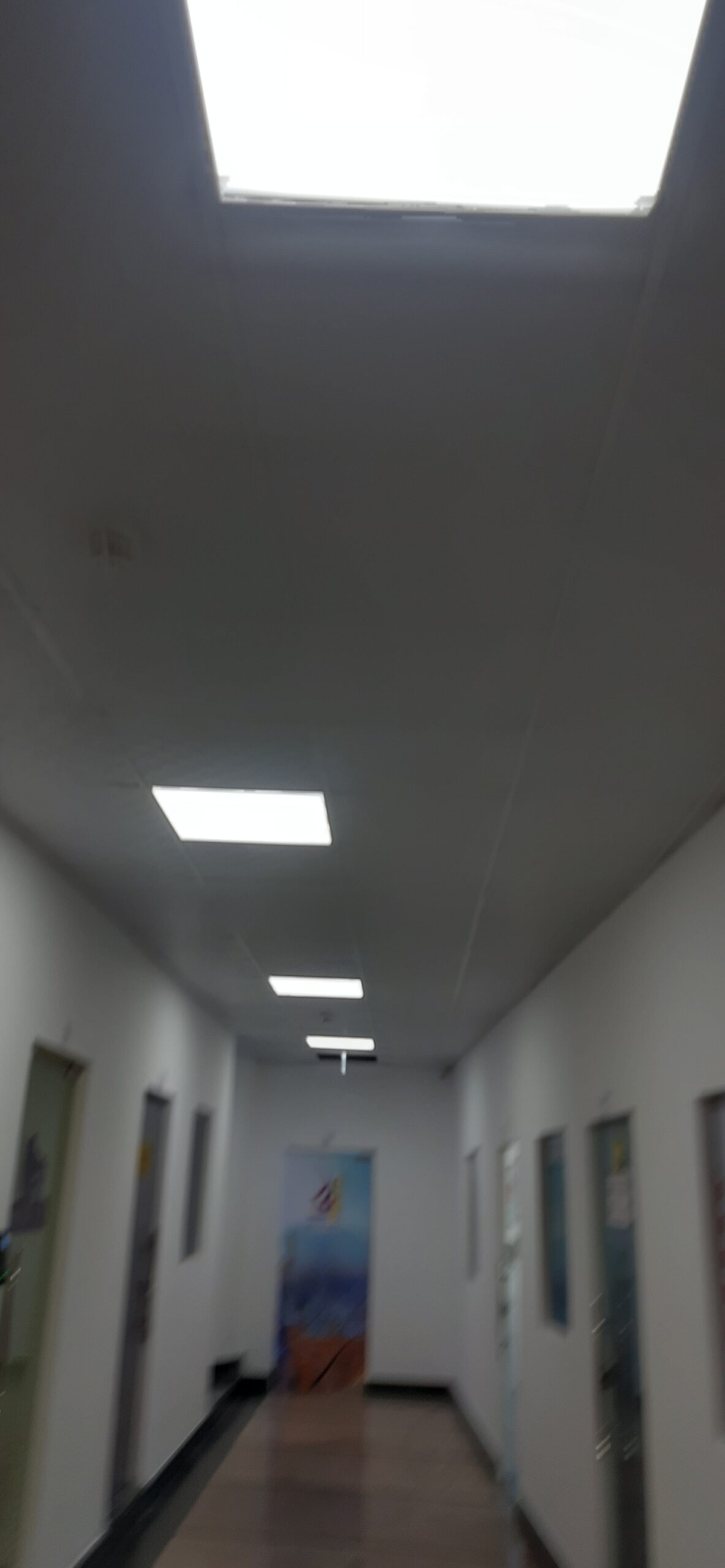 GYPSUM WORK COMPANY IN SHARJAH