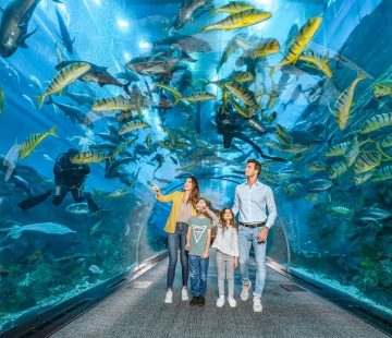 Dubai Aquarium – Dubai Mall Aquarium and Underwater Zoo Tickets