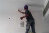 SMART PAINTER, Wall Painting, Apartment, Villa House Paint