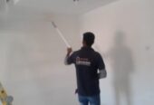 SMART PAINTER, Wall Painting, Apartment, Villa House Paint