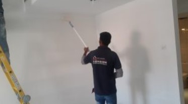 SMART PAINTER, Wall Painting, Apartment, Villa House Paint