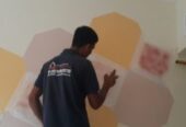 SMART PAINTER, Wall Painting, Apartment, Villa House Paint