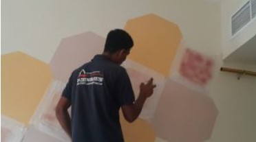 SMART PAINTER, Wall Painting, Apartment, Villa House Paint