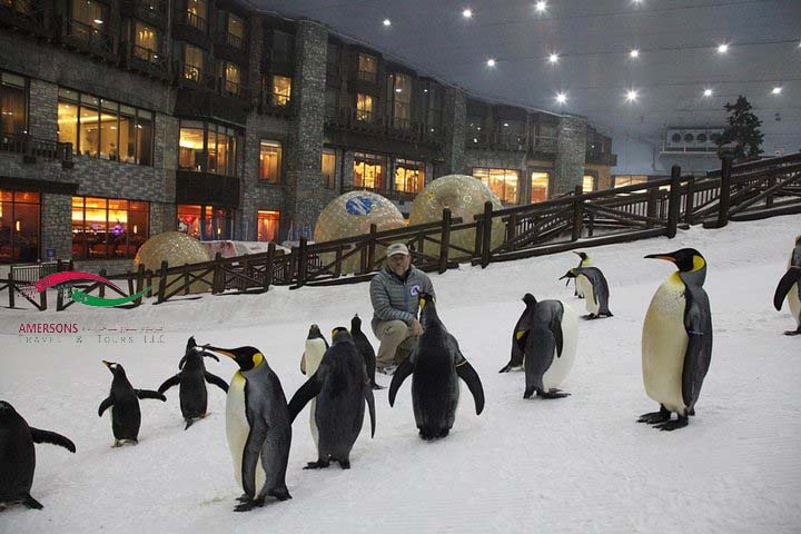 Dive into Dubai’s Snowy Oasis: Ski Dubai Snow Park Expedition