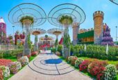 MIRACLE GARDEN DUBAI