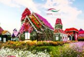 MIRACLE GARDEN DUBAI