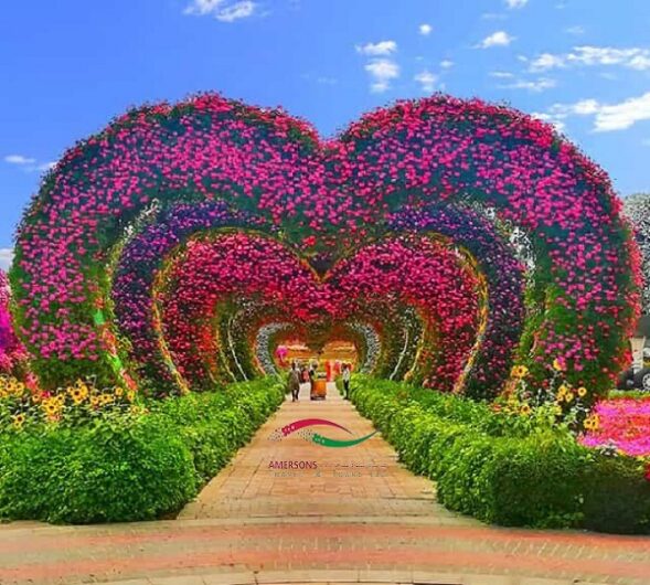 MIRACLE GARDEN DUBAI