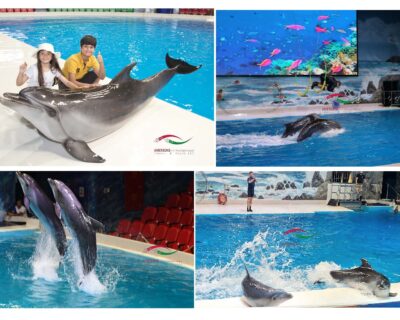 photo-with-dolphin-dubai-3-copy