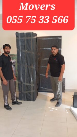 Professional Movers And Packers In Dubai