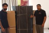 Professional Movers And Packers In Dubai