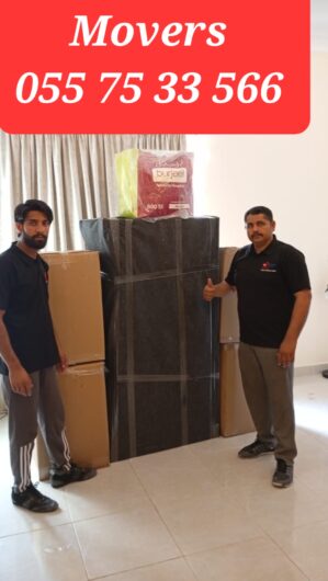 Professional Movers And Packers In Dubai