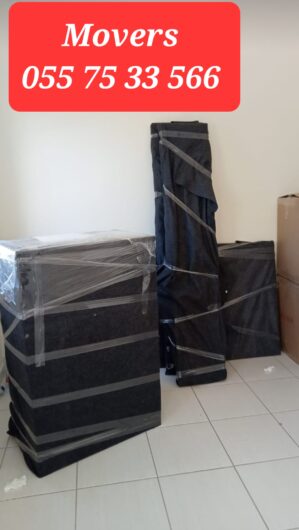 Professional Movers And Packers In Dubai