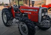 Massey Ferguson Tractors in UAE