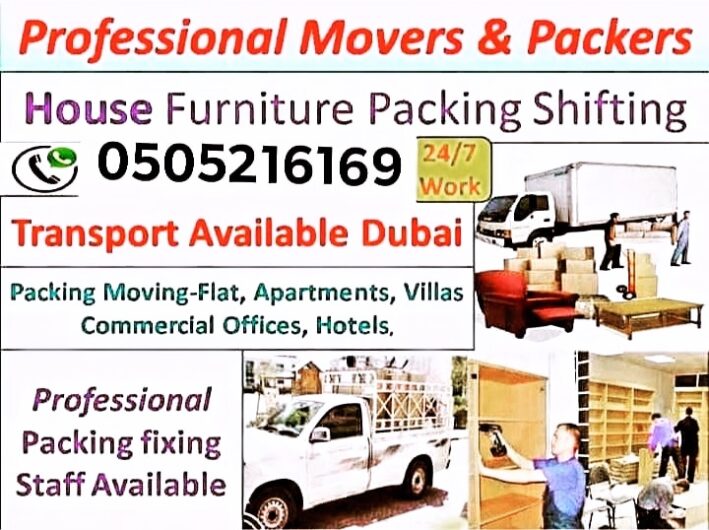 Professional Movers And Packers In Dubai any place