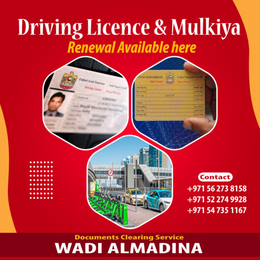 WADI AL MADINA DOCUMENT CLEARING TYPING SERVICES