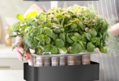 Indoor Garden Smart Professional Hydroponics Systems 11 Pods Automatic Timer Hydroponic Garden Indoor Gardening System For Herb