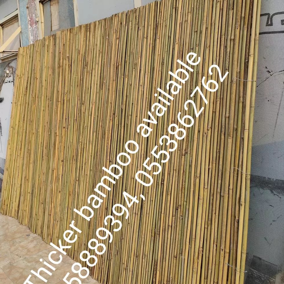 Bamboo poles and Thicker bamboo Fence-0553862762