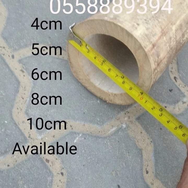 BAMBOO POLES AND FENCE