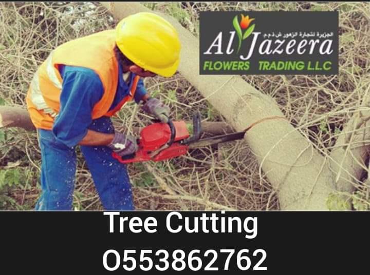 Tree cutting and disposal service -0553862762