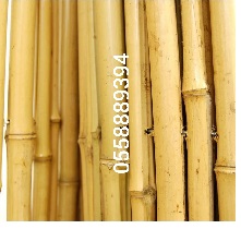 BAMBOO POLES AND FENCE