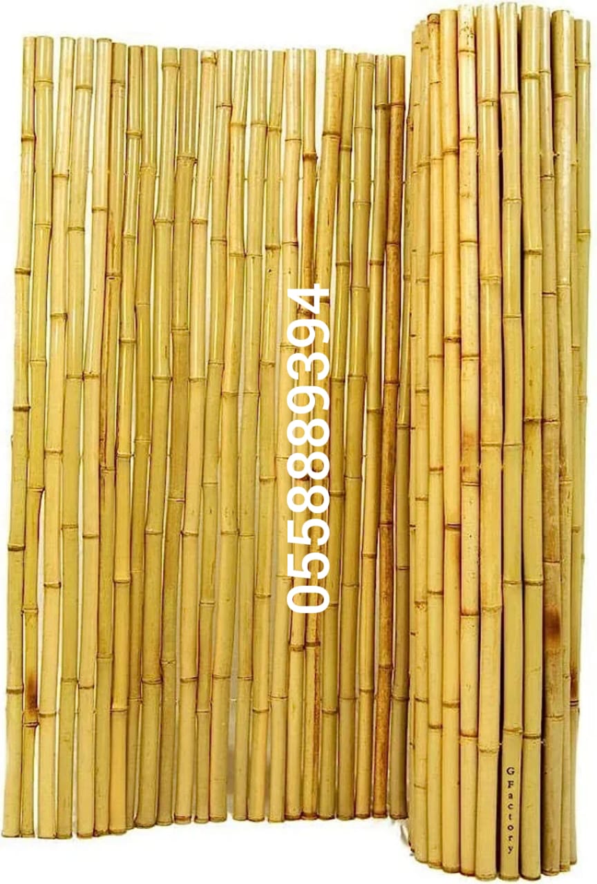 BAMBOO POLES AND FENCE