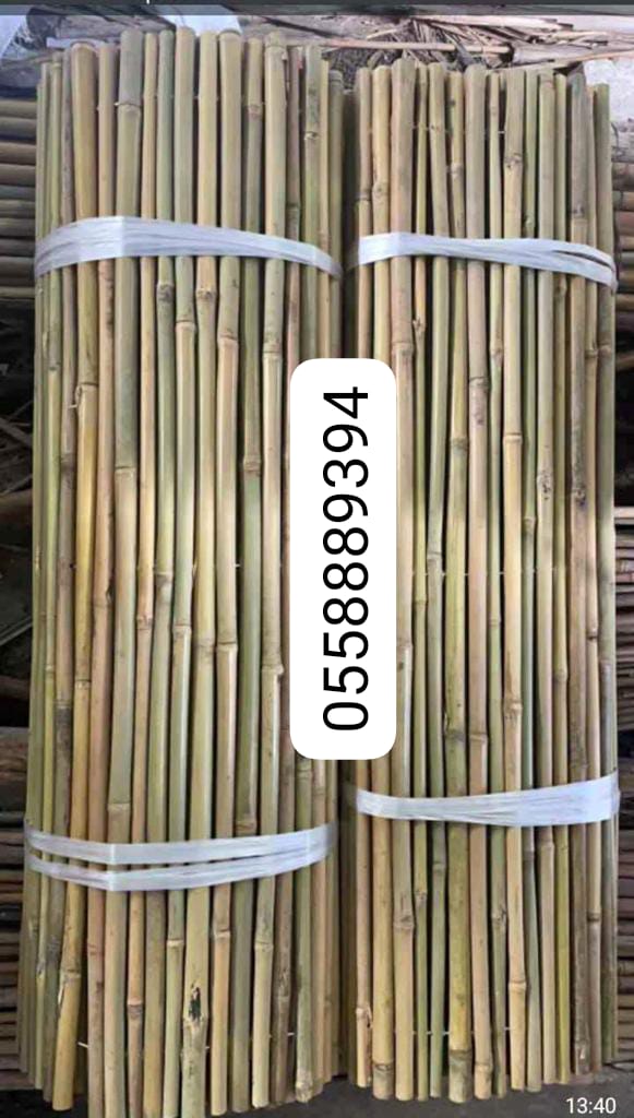 BAMBOO POLES AND FENCE