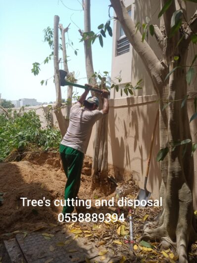 TREE CUTTING AND DISPOSAL SERVICE