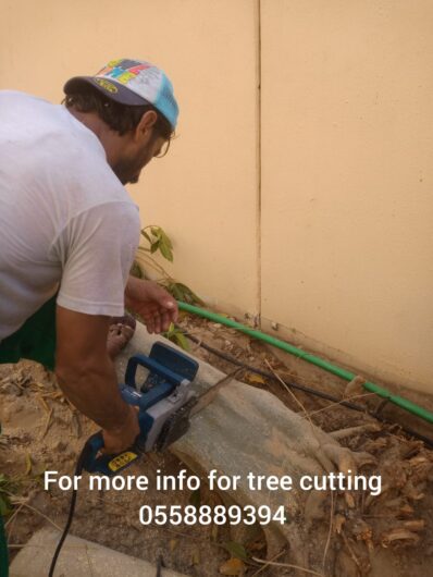 TREE CUTTING AND DISPOSAL SERVICE