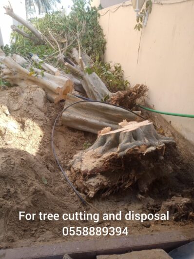 TREE CUTTING AND DISPOSAL SERVICE