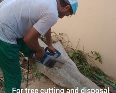 Tree-cutting-6