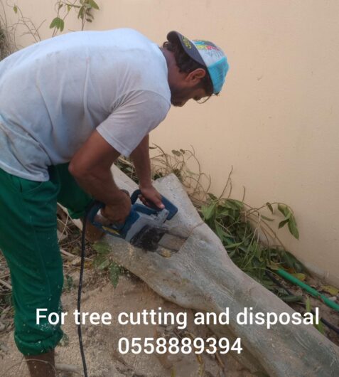 TREE CUTTING AND DISPOSAL SERVICE