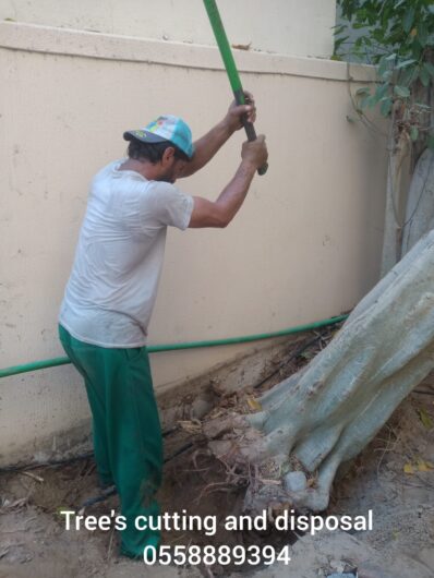 Tree cutting and disposal service -0553862762