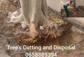 Tree cutting and disposal service -0553862762