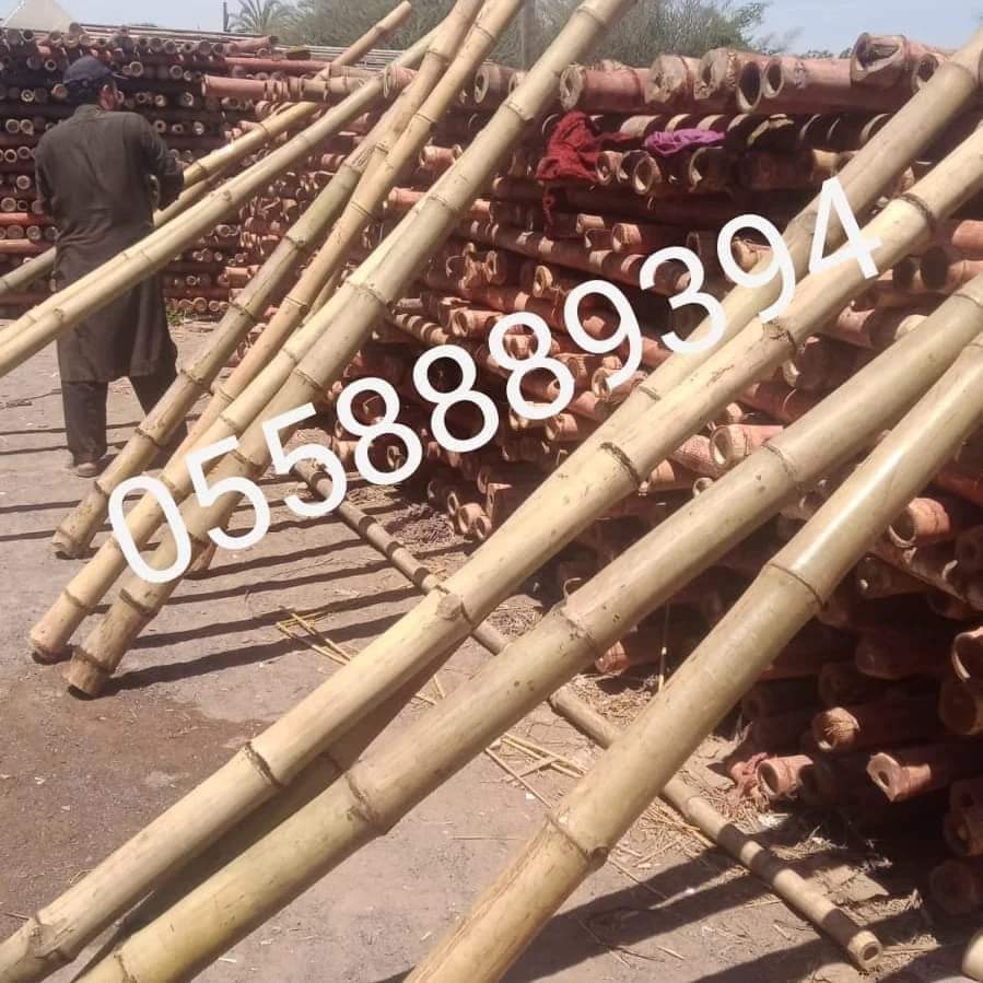 BAMBOO POLES AND FENCE