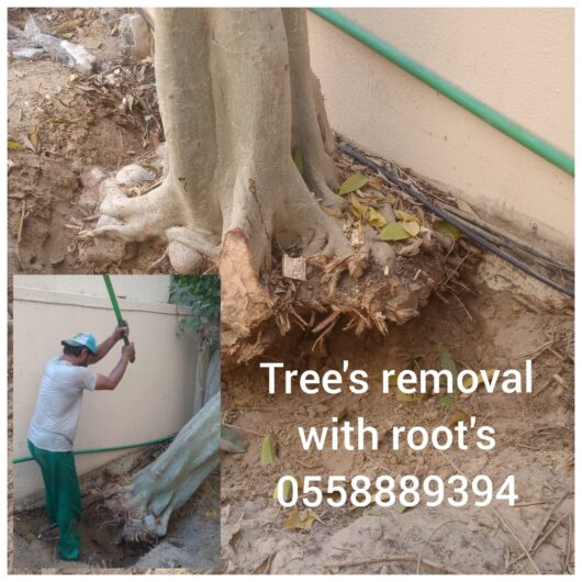 TREE CUTTING AND DISPOSAL SERVICE