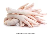 frozen whole chicken – feet – paws