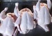 frozen whole chicken – feet – paws