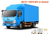 Hamza Movers Packers Service in Dubai 0507124901