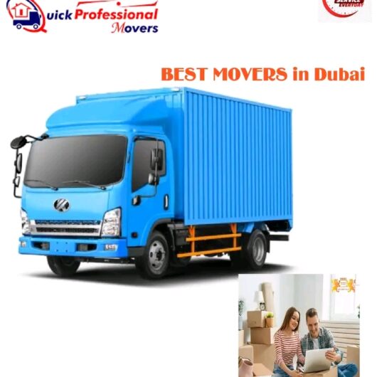 Hamza Movers Packers Service in Dubai 0507124901