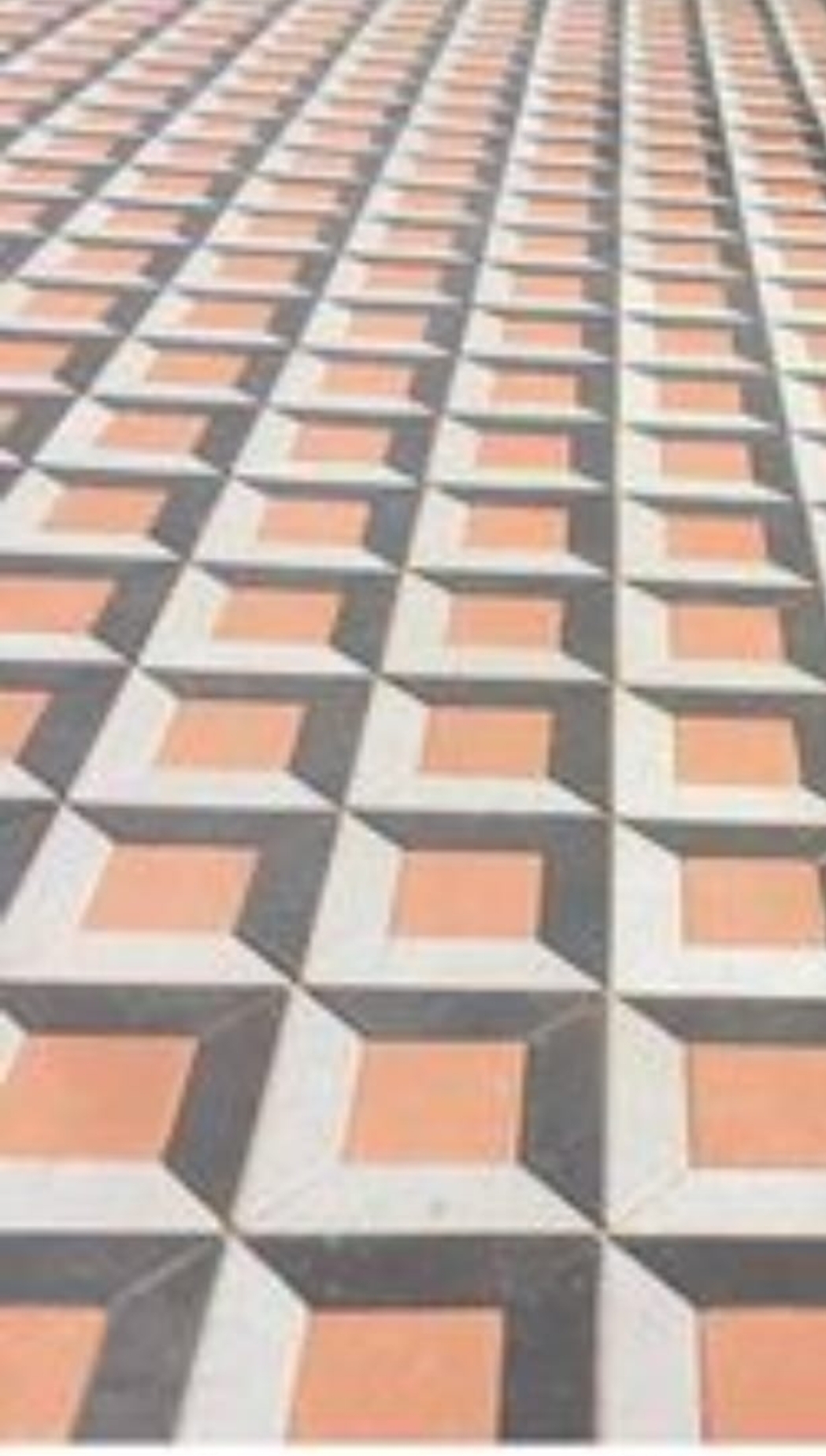 Interlocks Pasco fixing in Abu Dhabi