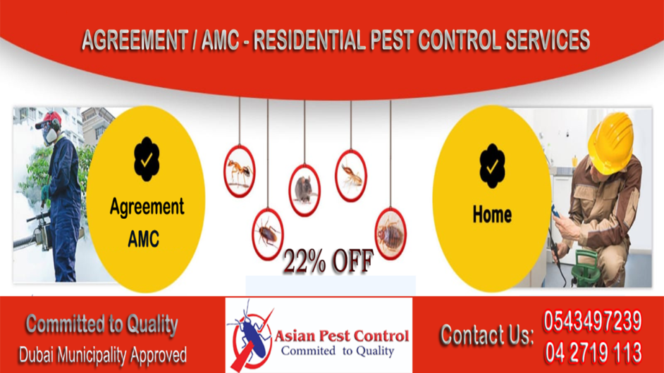 # Best Prices N Quality Ants Control – 25% Pest Disc.