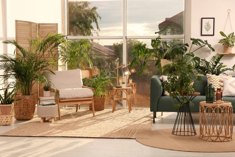 Indoor and Outdoor Plants