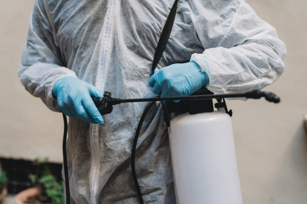 Local Pest Control Company in Abu Dhabi – Shinex Care