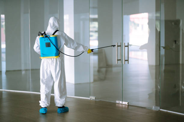 Local Pest Control Company in Abu Dhabi – Shinex Care