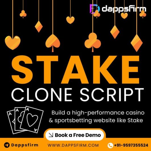 Stake Clone Software: A Cost-Effective Solution for Aspiring Entrepreneurs!