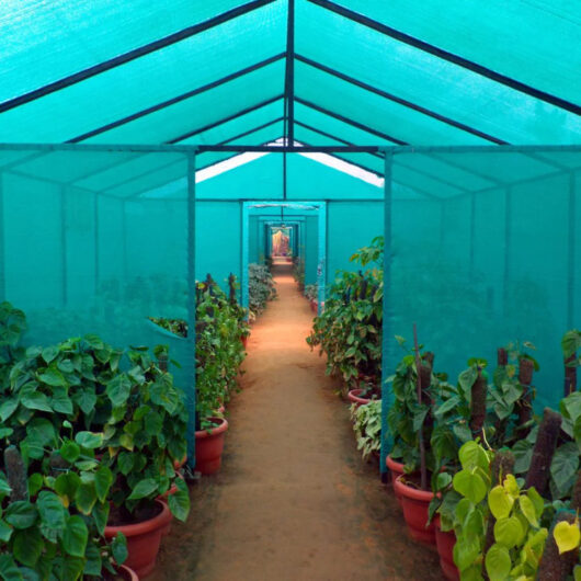 Trusted Agro Shade Net Manufacturer – Durable and Reliable Solutions