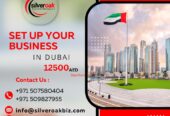 Looking to establish a business in Dubai? Our expert business setup consultants make the process hassle-free! We provide end-to-end company formation services