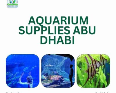 aquarium-supplies-abu-dhabi-1_11zon